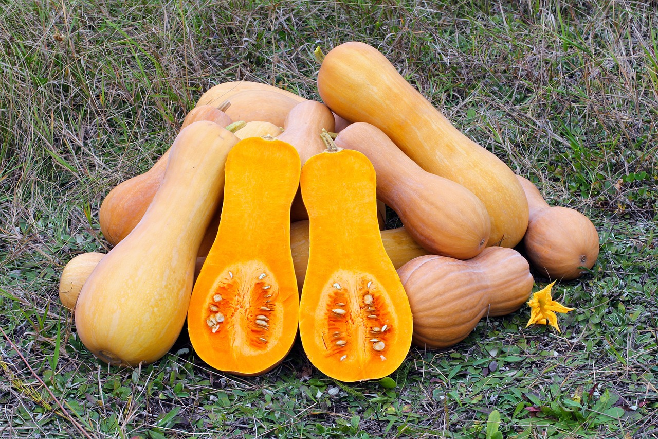butternut squash g145839ea4 1280