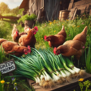 Crisp Can Chickens Eat Green Onions Scene Art Crisp Can Chickens Eat Green Onions Scene Art